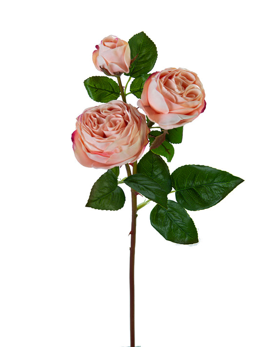 21" Real Touch Cabbage Rose Spray (Various Colors)