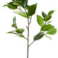 27" Camellia Leaf Branch with Bud