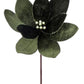 24" Deluxe Velvet Emerald Poinsettia Stem
