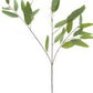 34" Long Leaf Eucalyptus Spray, Green