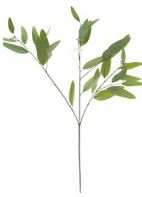 34" Long Leaf Eucalyptus Spray, Green