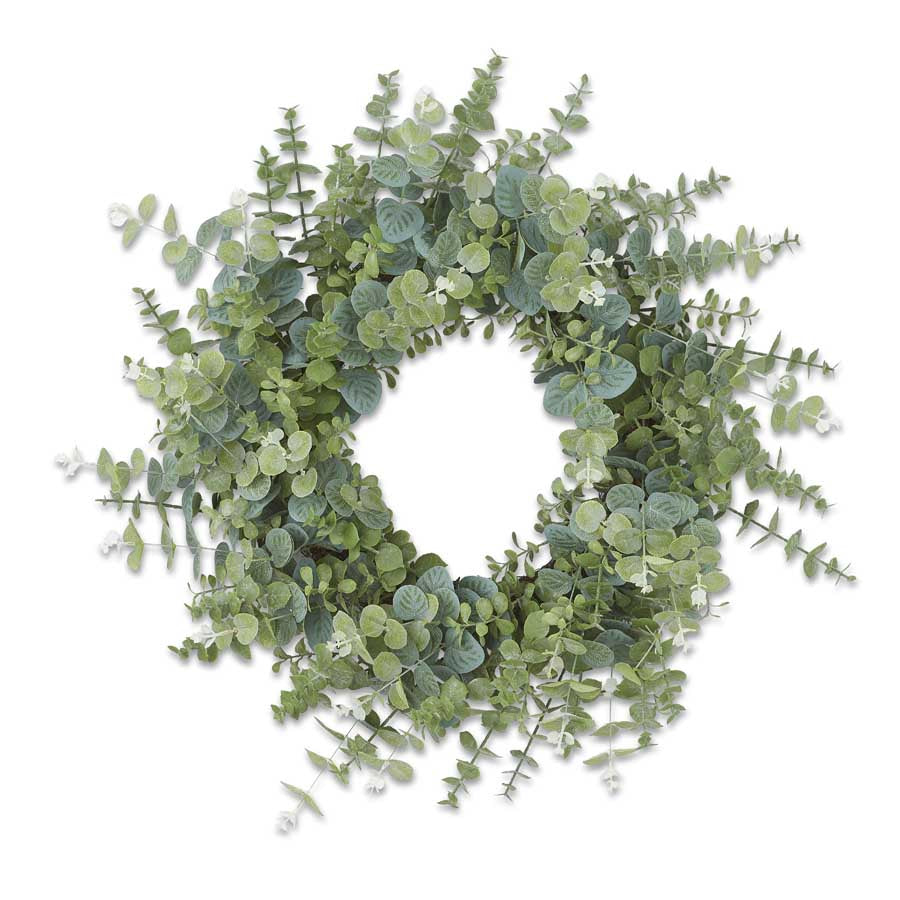 24" Blue Gum Eucalyptus Wreath with Grapevine Base