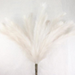 52" Feather Reed Spray (Cream)