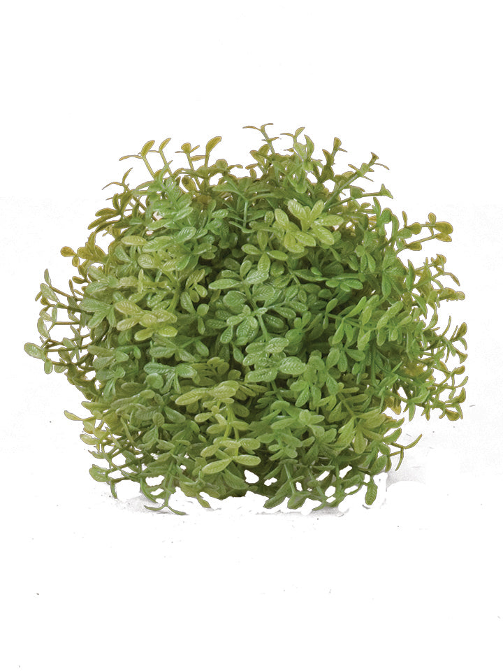 5" Green Ball with Leaves