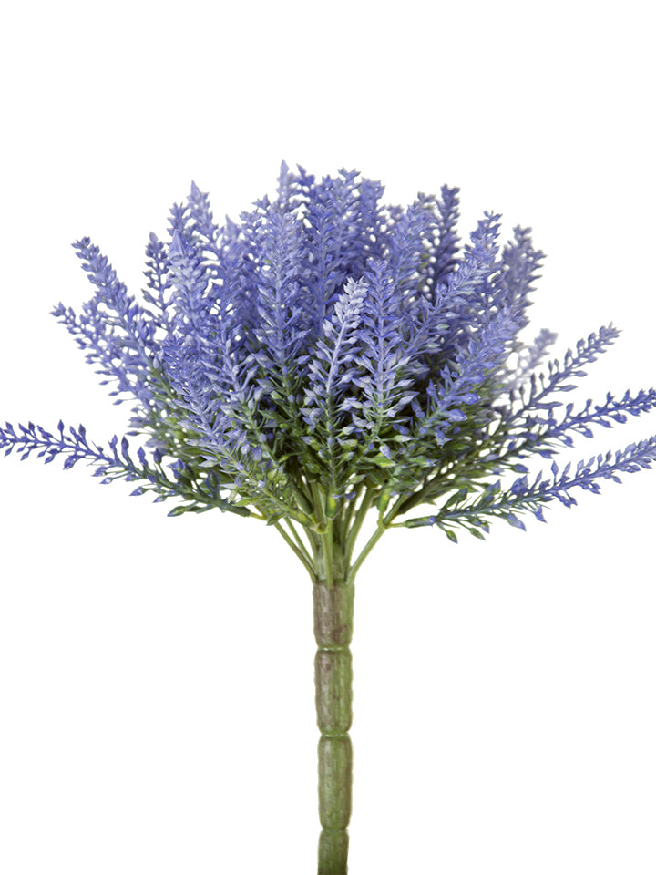 11" Lavender Bush, Violet Blue