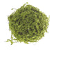 6" Mossy Twig Ball, Green