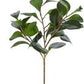 26" Peperomia Spray