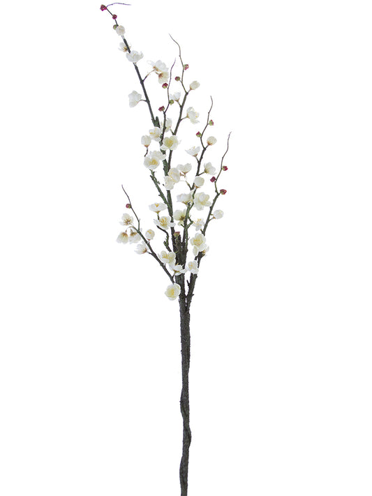 47" Plum Blossom