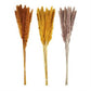 Preserved Pampas Grass (Various Colors)