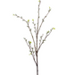 53.5" Pussy Willow Branch, White