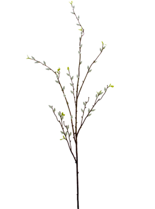 53.5" Pussy Willow Branch, White