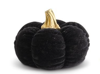Black Velvet Pumpkin w/ Gold Stem (Various Styles)