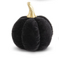 Black Velvet Pumpkin w/ Gold Stem (Various Styles)