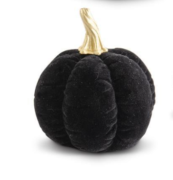 Black Velvet Pumpkin w/ Gold Stem (Various Styles)