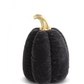 Black Velvet Pumpkin w/ Gold Stem (Various Styles)