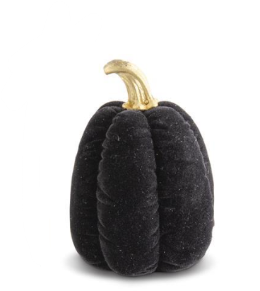 Black Velvet Pumpkin w/ Gold Stem (Various Styles)