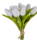 10" Tulip Bundle, White